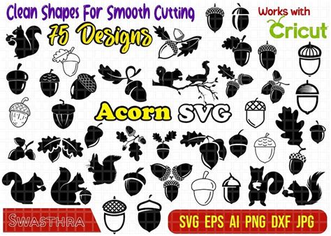 75 Acorn Svg Bundle Oak Leaves Svg Acorn Clipart Acorn Png Dxf