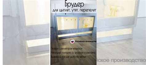 Брудер пластиковый для цыплят, утят, перепелят купить в Екатеринбурге ...