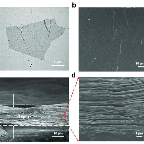 A TEM Image Of MXene Nanosheet B Top View SEM Image Of MXene Film