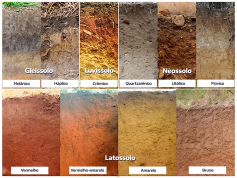 Tipos de solo o guia completo para sua análise