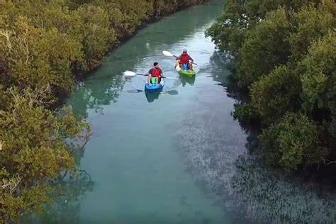 2023 Mangrove Kayaking Abu Dhabi