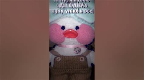 #lalafanfan уточка lili уточка katy уточка милка #лалафанфан # ...