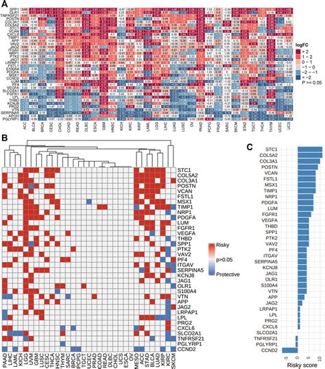 Frontiers Association Of Angiogenesis Gene Expression With Cancer