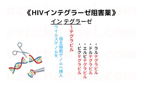 【ゴロ】hivインテグラーゼ阻害薬 ゴロナビ〜薬剤師国家試験に勝つ〜