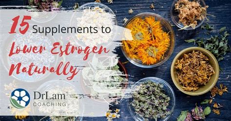 The Cheat Sheet On Herbs For Estrogen Dominance