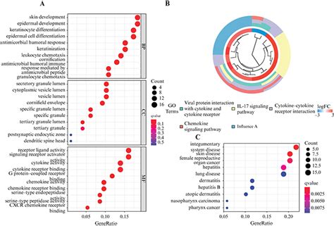 Jle European Journal Of Dermatology Machine Learning Based Screening For Biomarkers Of