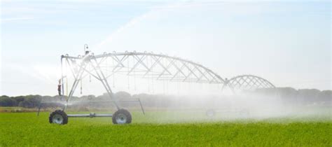 Agricultura De Regadío 【características Y Diferencia Con Secano】 Rkd