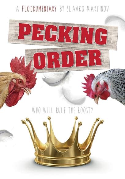 Watch Pecking Order (2017) - Free Movies | Tubi