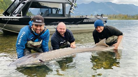 Fishing The Fraser River For Prehistoric Monsters Canadian Pow Wows