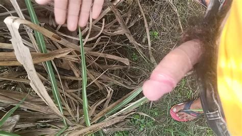 Indian Desi Big Dick Outdoor Shoot Gay Asian Porn XHamster
