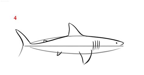 How To Draw A Shark Step By Step Tutorial With Free Printable Shark Nbkomputer