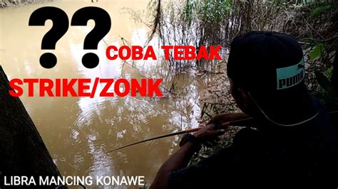 MANCING NILA LIAR BABON GAK SEMUDAH YG DI BAYANGKAN NILA LIAR SULIT DI