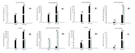 Quantitative Real Time Pcr Validation Of Differentially Expressed