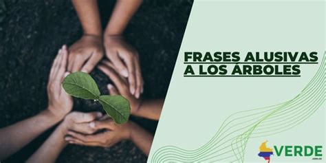 Frases Alusivas A Los Rboles Colombia Verde