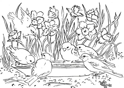 Livre de coloriage des oiseaux de printemps à imprimer et à mettre en ligne