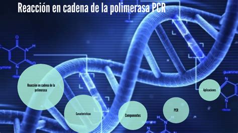 La Reacción En Cadena De La Polimerasa Pcr By Angela Nagely Rodriguez Paredes On Prezi