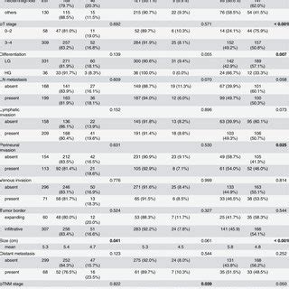 The Association Between Clinicopathological Parameters And C Myc Status