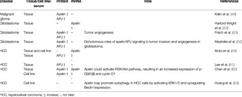 Expression And Role Of Apelin Apj Signaling In Brain Tumor And Hcc