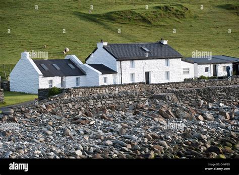 White Cottages At The Rocky Coast Of Norwick Unst Shetland Subarctic