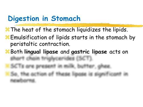 Solution Digestion And Absorption Lipids Pptx Studypool