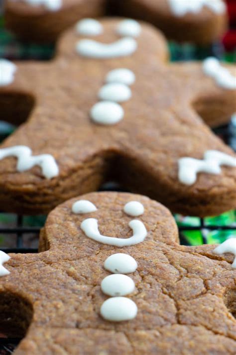 Vegan Gingerbread Cookie Recipe Plant Well