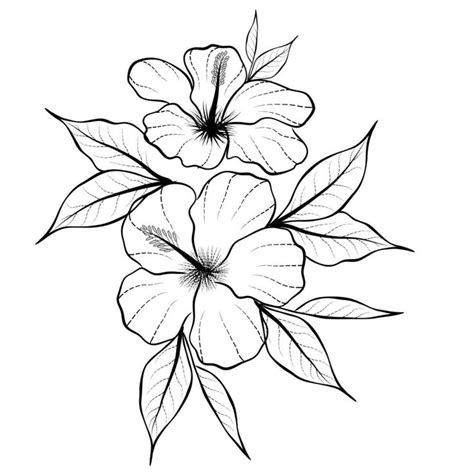 Descargar gratis vector línea Arte y mano dibujo flor Arte negro y