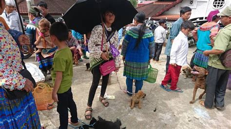 From Hanoi 3 Day Sapa Trekking Trip With Meals And Homestay GetYourGuide