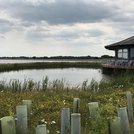 Abberton Reservoir Visitor Centre (Colchester) - 2019 All You Need to ...