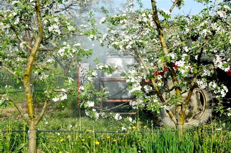 Premium Photo Tractor Sprays Insecticide In Blossoming Apple Orchard