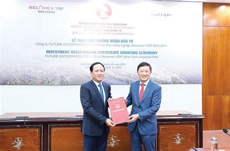 Binh Dinh A Bright Spot In Attracting Investment