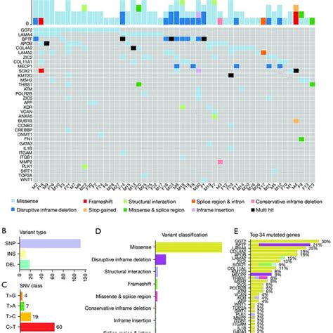 The General Mutational Landscape Of 30 Couples With Unexplained