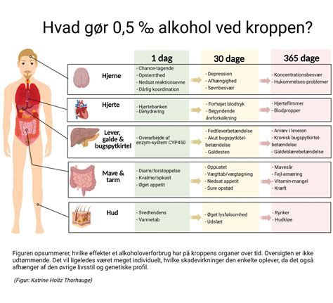 Druk I Virkeligheden Hvad Ville En Konstant Promille P G Re Ved