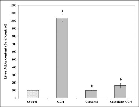 Effect Of Carbon Tetrachloride Ccl 4 Capsaicin Or Both Capsaicin