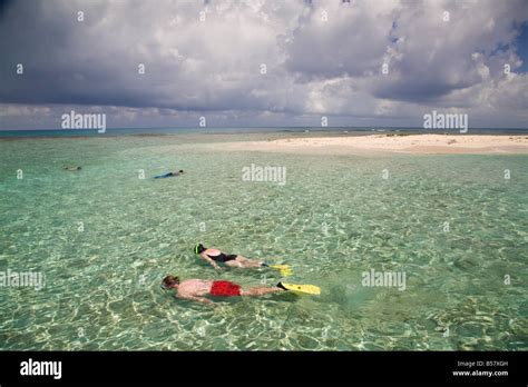 Tourists snorkelling Bird Island Belize Central America Stock Photo - Alamy