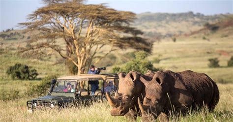 6 Dages Aberdare Solio Lake Nakuru Og Masai Mara Safari GetYourGuide