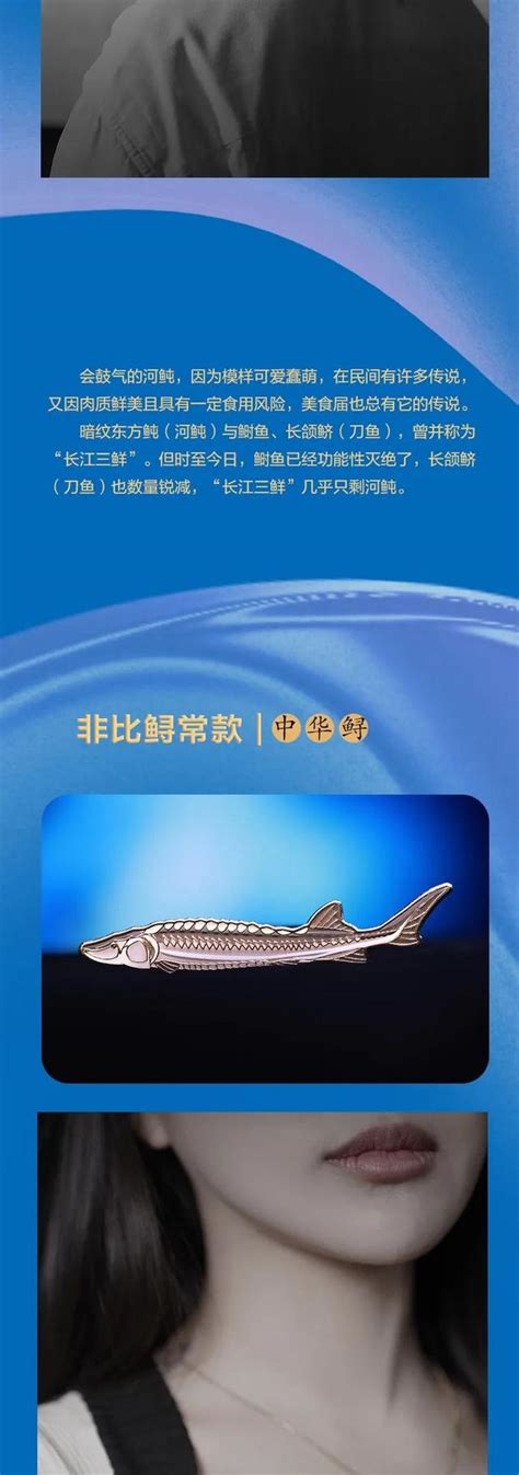 年年有魚，新年就要帶走這幾條「魚」 每日頭條