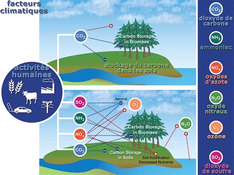 Les Zones Climatiques Dans Le Monde