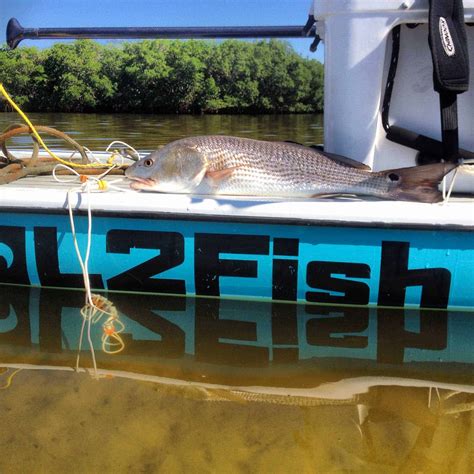 Paddle Board Fishing Fl Trips4trade