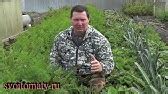 Органическое или природное земледелие. - YouTube
