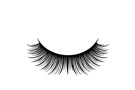 Eyelash Svg Cut File Makeup Lover Gift Gr Fico Por Artful Assetsy