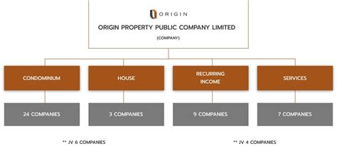 Group Structure - Origin