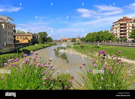 River Parma from Ponte di Mezzo, Parma, Emilia-Romagna, Italy, Europe ...