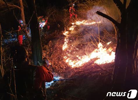 서산시 운산면 산불 22시간만에 주불 진화 완료 네이트 뉴스