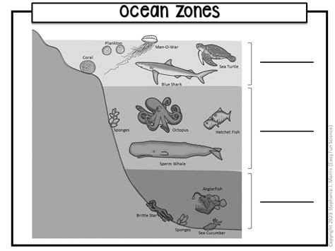 Ocean Zones Diagram Made By Teachers