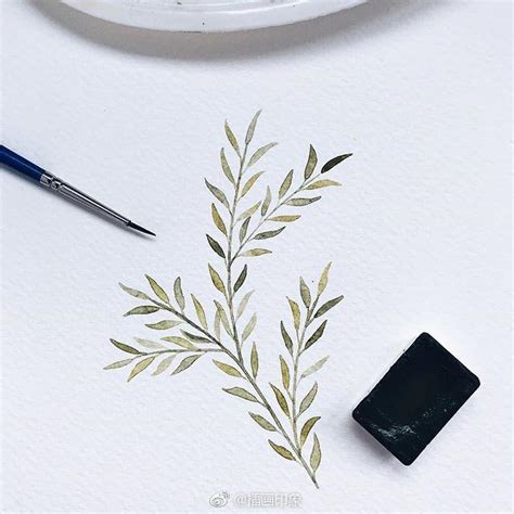 一組水彩花卉綠植手繪插畫很漂亮 每日頭條