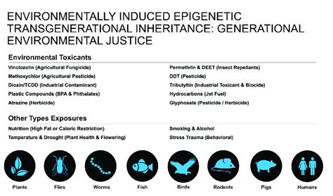 Environmentally Induced Epigenetic Transgenerational Inheritance