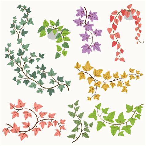 Simplicity Ivy Freehand Drawing Flat Design Collection Vector