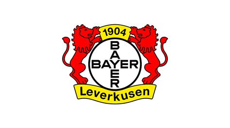 5000 Euro Geldstrafe für Bayer Leverkusen DFB Deutscher Fußball