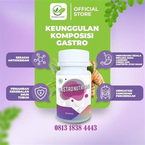 Gastro Nutrion Obat Asam Lambung Maag Herbal Original 30 Kapsul Di