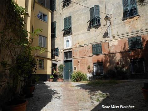 Piazza Della Giuggiola Un Antico Albero Al Carmine